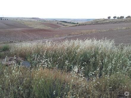 Terreno en Tórtola de Henares, Guadalajara en venta Foto principal- Imagen 1 de 2