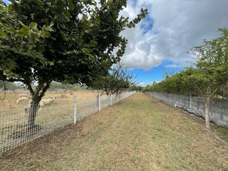 Terreno en Carracedelo, León en venta - Foto del edificio - Imagen 2 de 38