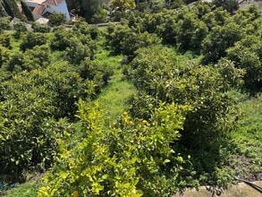 Cómpeta, MAL - AÉREA  vista de mapa - Image1