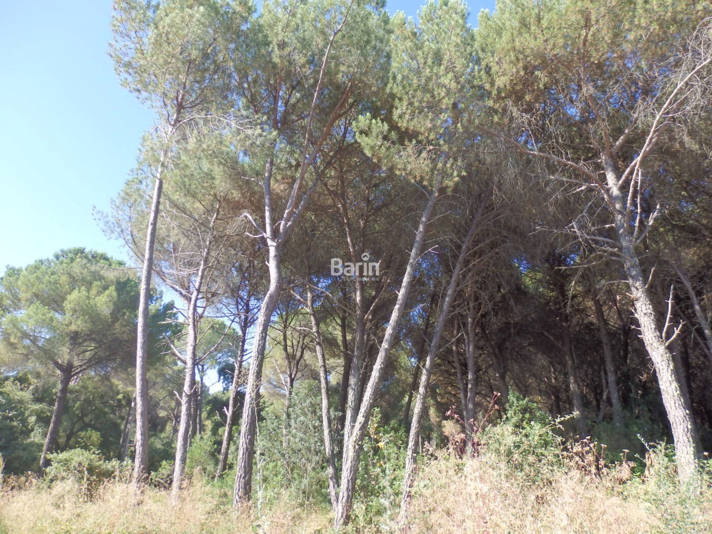 Terreno en Córdoba en venta Foto del edificio- Imagen 1 de 8