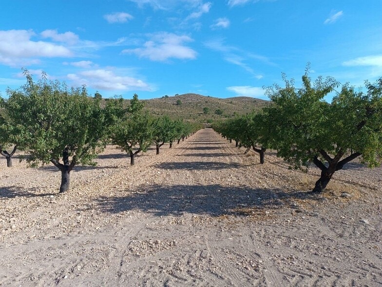 Terreno en MURCIA en venta - Foto del edificio - Imagen 3 de 7