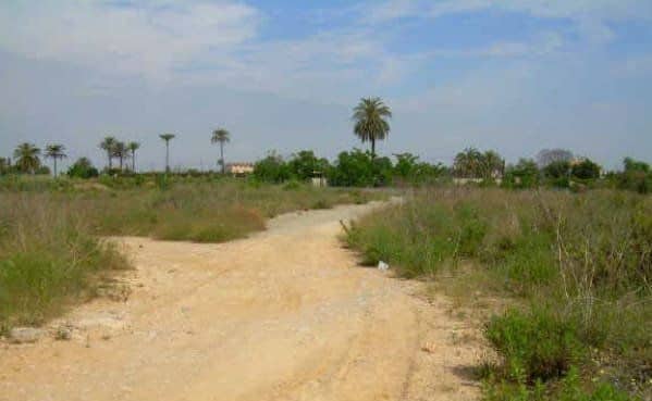 Avinguda Bressol de la Taronja, 20, Carcaixent, Valencia en venta Foto del edificio- Imagen 1 de 5