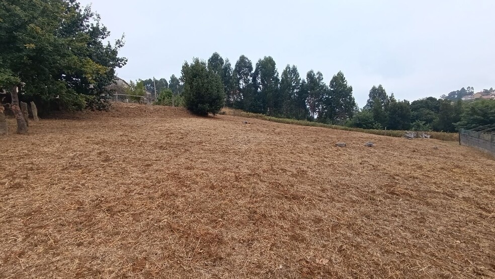 Rúa de Manuel Cominges, 134, Vigo, Pontevedra en venta - Plano del sitio - Imagen 3 de 5