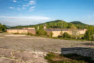 Más detalles de 110 One Genesis Way, Spruce Pine, NC - Nave en venta