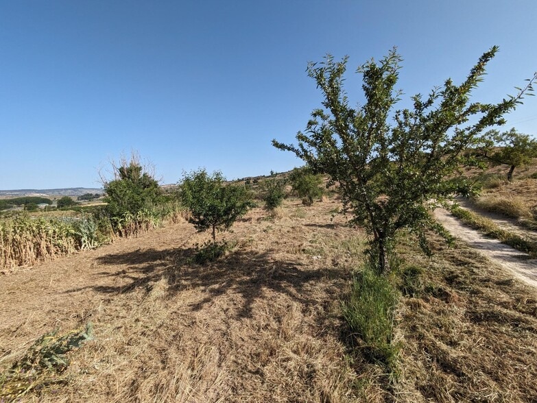 Lugar Extrarradio, Arenas del Rey, Granada en venta - Foto del edificio - Imagen 3 de 22