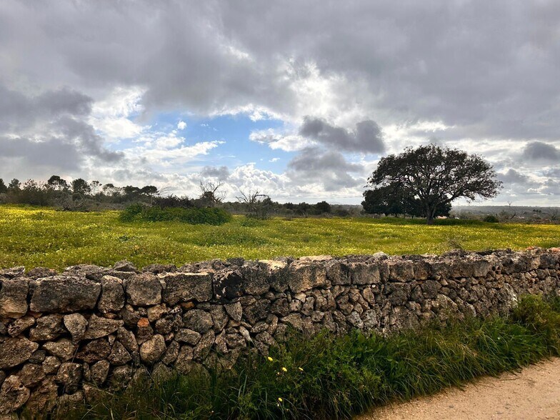 Terreno en Sineu en venta - Foto del edificio - Imagen 3 de 14