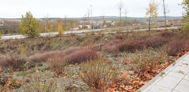 Más detalles de Terreno en alquiler