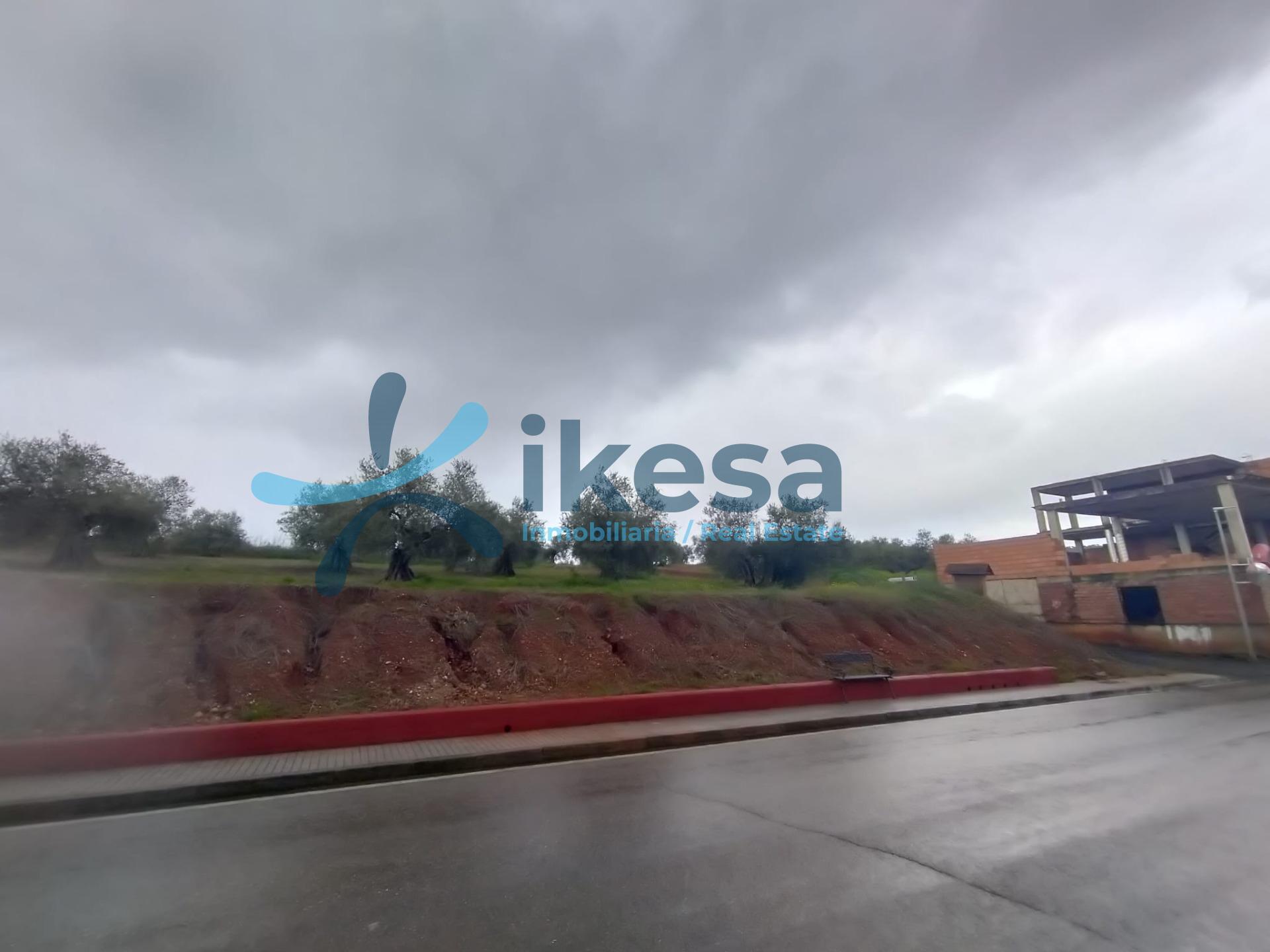 Terreno en Villafranca de Córdoba, Córdoba en alquiler Foto del edificio- Imagen 1 de 8