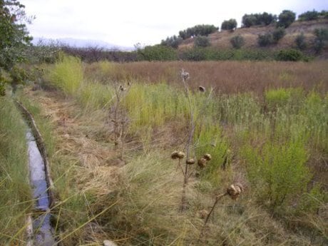 Terreno en Calasparra, Murcia en venta - Plano del sitio - Imagen 3 de 12