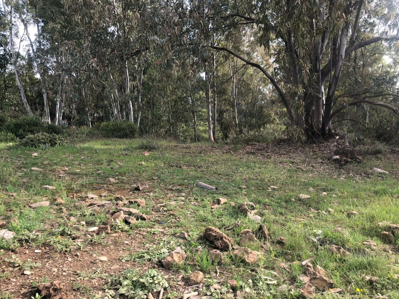 Terreno en Córdoba, Córdoba en venta Plano del sitio- Imagen 1 de 2