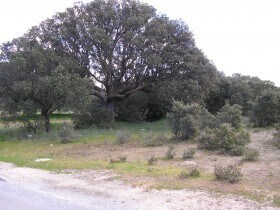 Terreno en Maello, Ávila en venta - Foto del edificio - Imagen 3 de 3