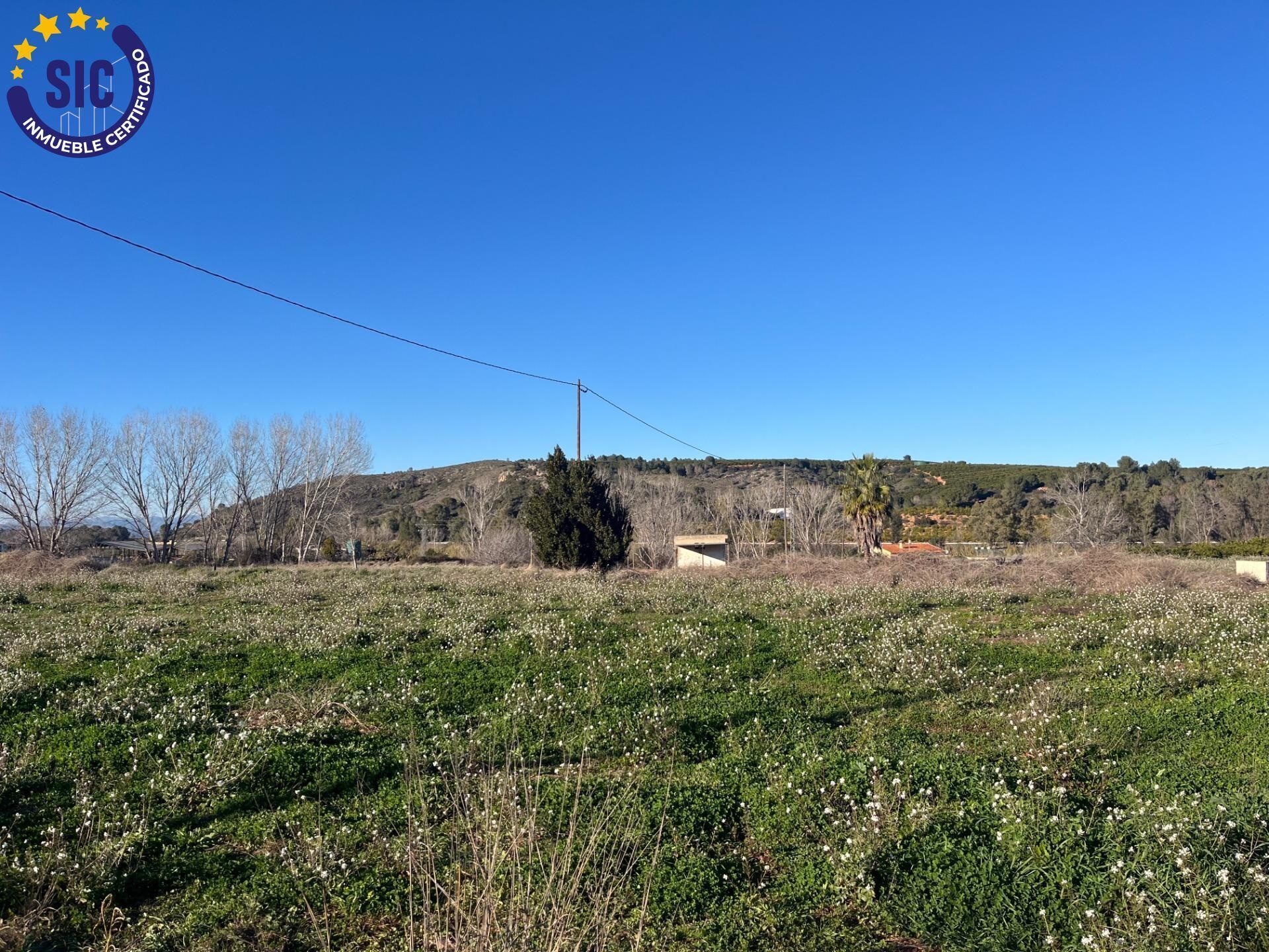 Terreno en Barxeta, Valencia en venta Vista aérea- Imagen 1 de 16