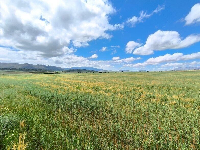 Terreno en Yecla, Murcia en venta - Vista aérea - Imagen 2 de 5