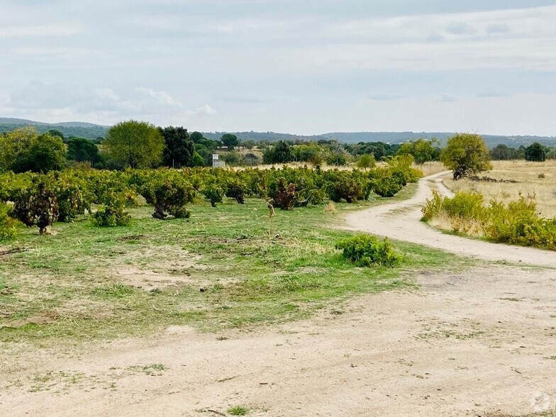 Terrenos en San Martín de Valdeiglesias, Madrid en venta - Foto del edificio - Imagen 2 de 7