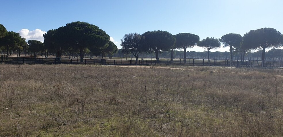 Terreno en Aldeamayor de San Martín, Valladolid en venta - Foto principal - Imagen 1 de 25