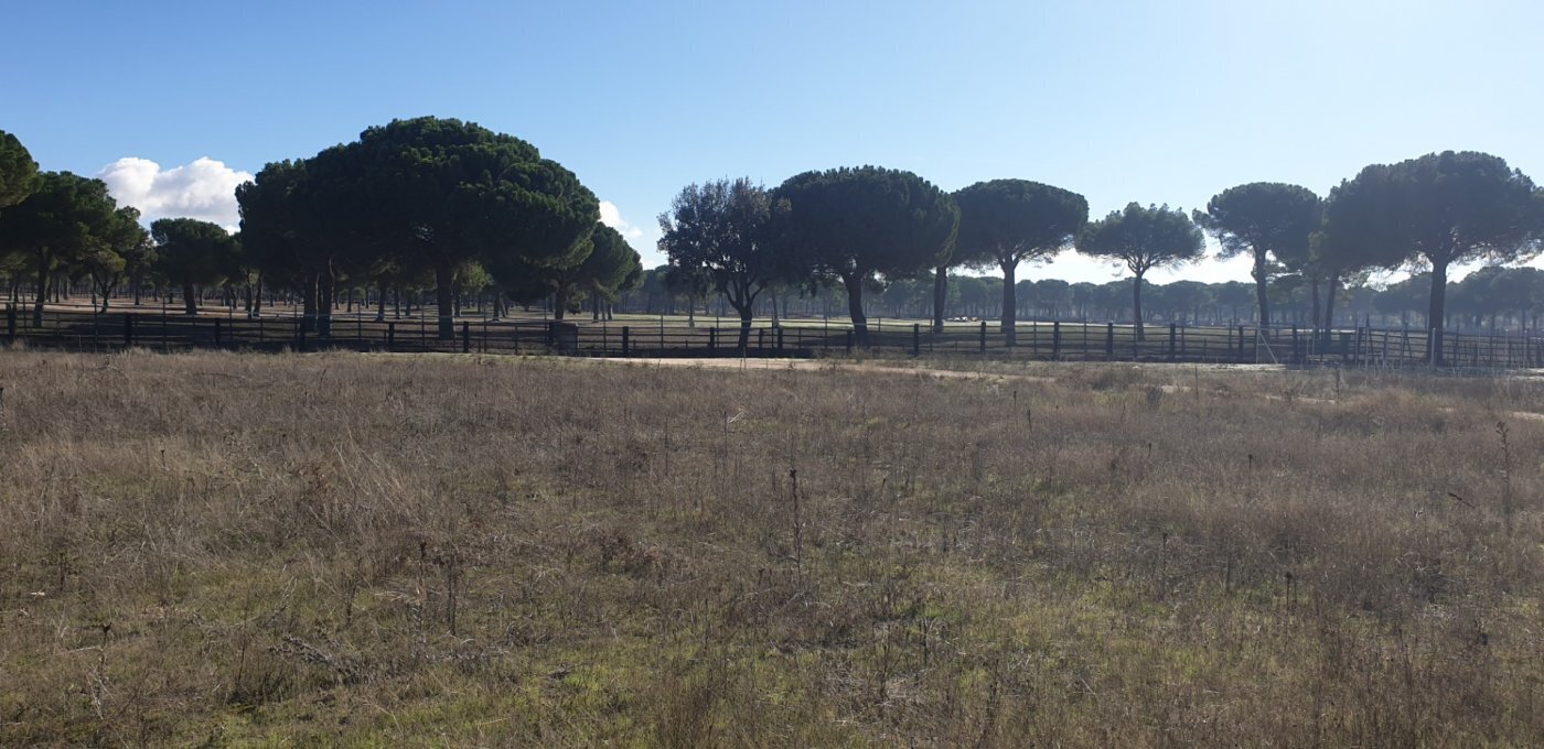 Terreno en Aldeamayor de San Martín, Valladolid en venta Foto principal- Imagen 1 de 26