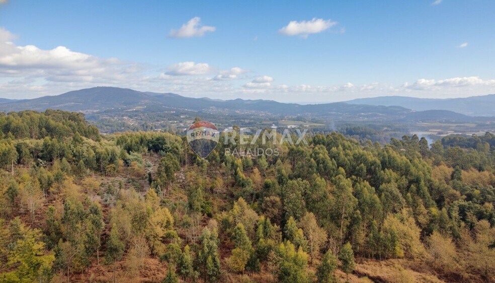 Terreno en Salvaterra de Miño, Pontevedra en venta - Foto principal - Imagen 2 de 25