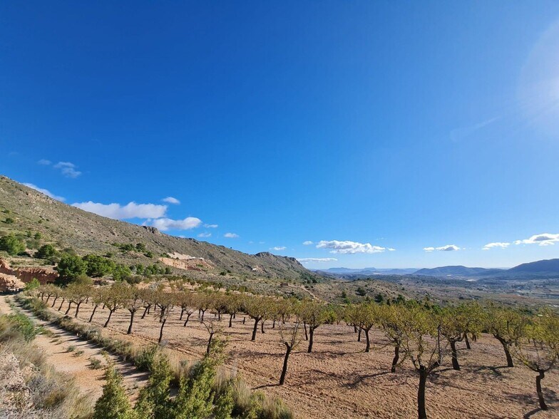 Terreno en La Romana, Alicante en venta - Vista aérea - Imagen 2 de 12