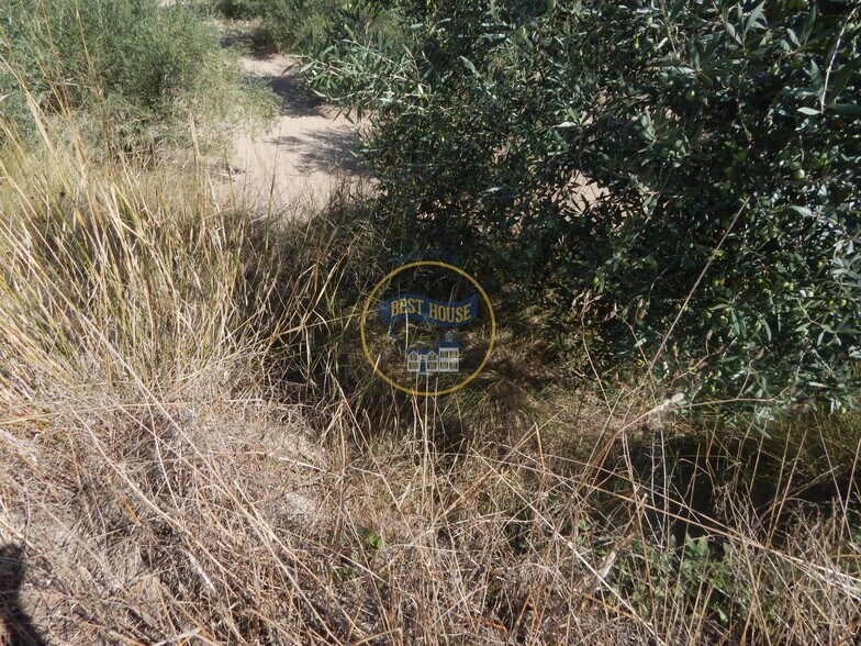 Terreno en Alquerías del Niño Perdido en venta - Foto del edificio - Imagen 2 de 22