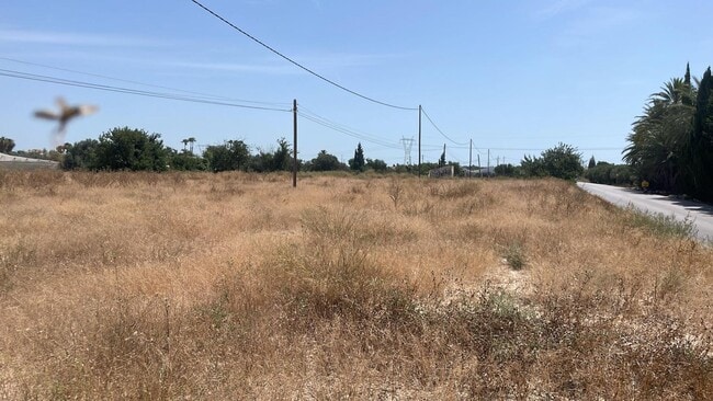 Más detalles de Maitino, Elche Pedanias, 1028, Alicante - Terreno en venta