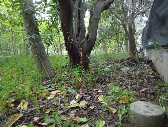 Más detalles de Terreno en venta