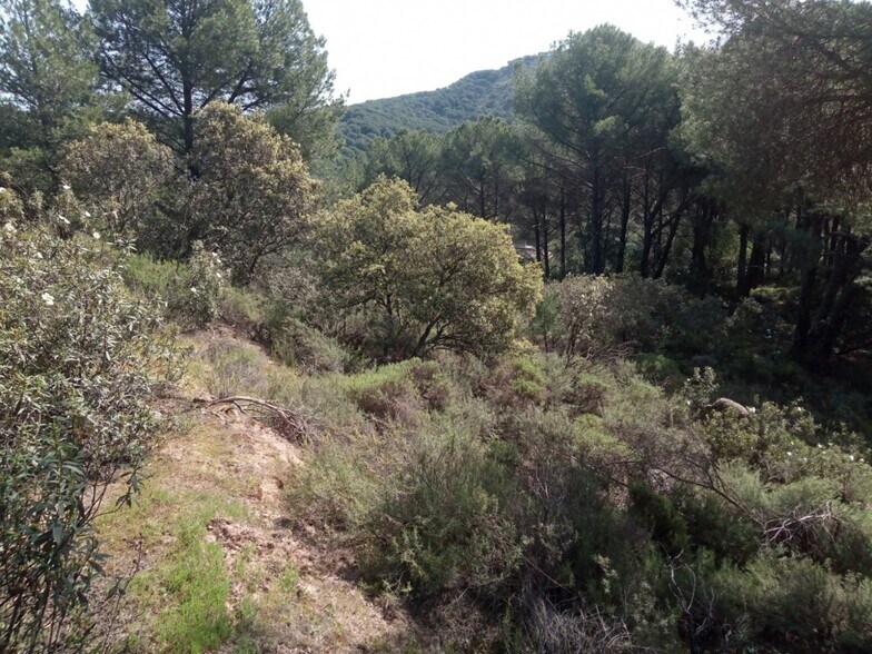 Terreno en Córdoba, Córdoba en venta - Foto principal - Imagen 1 de 3