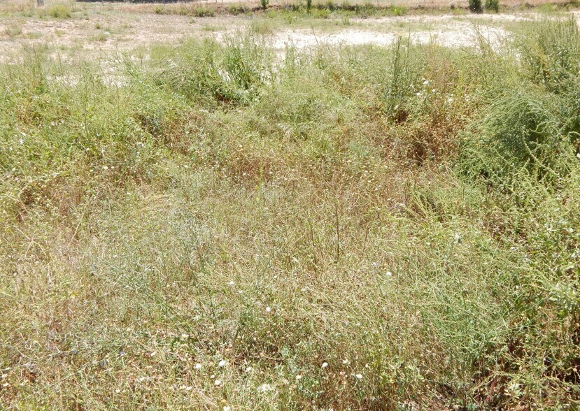 Terreno en València en venta - Foto del edificio - Imagen 3 de 3