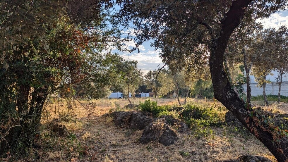 Terreno en Córdoba, Córdoba en venta - Foto principal - Imagen 2 de 9