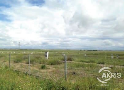 Más detalles para Urbanización Pinar Villeriche, Numancia de la Sagra - Terreno en venta
