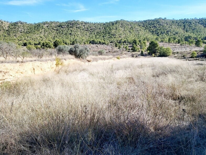 Terreno en La Romana, Alicante en venta - Vista aérea - Imagen 3 de 3
