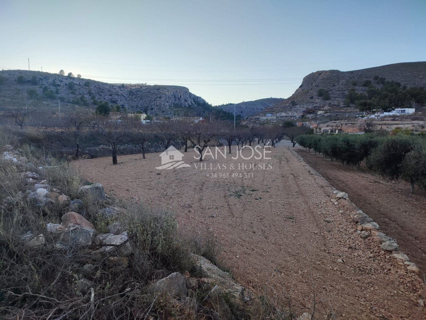 Terreno en La Romana, Alicante en venta Foto principal- Imagen 1 de 8