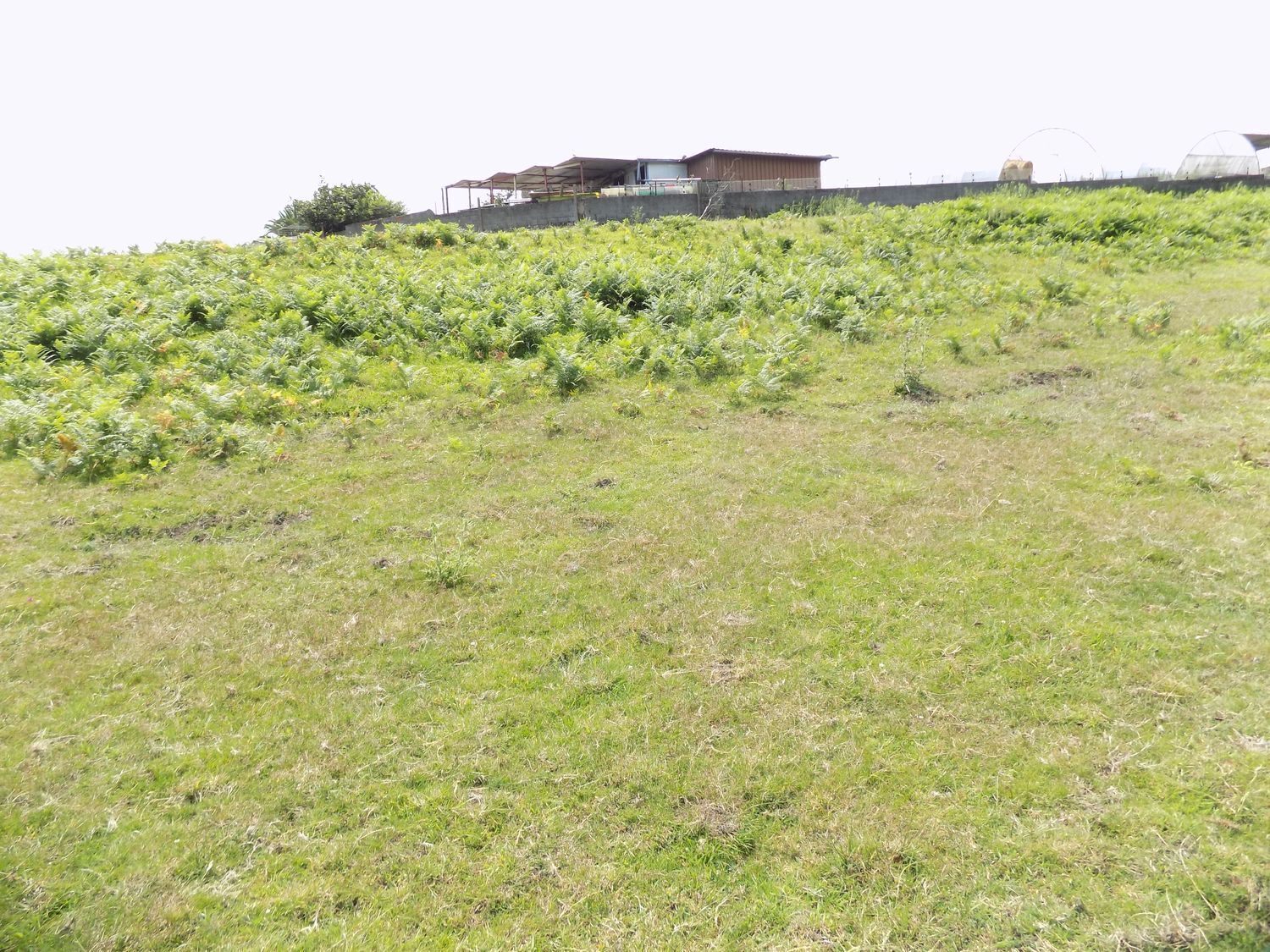 Terreno en Gijón, Asturias en venta Vista aérea- Imagen 1 de 30