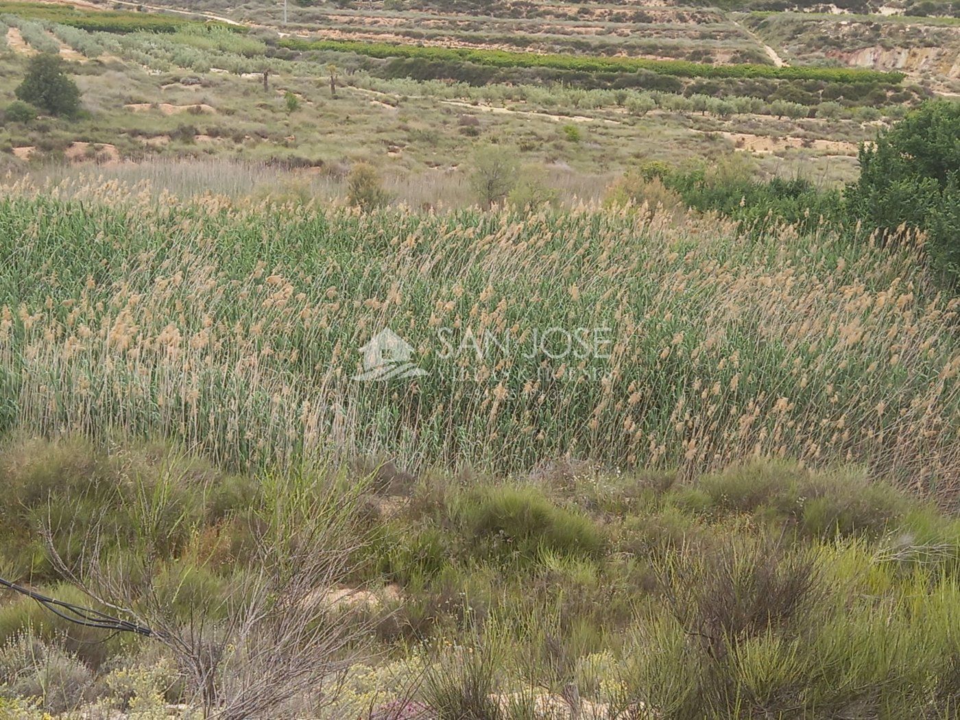 Poligono, 44, Novelda, Alicante en venta Vista aérea- Imagen 1 de 18