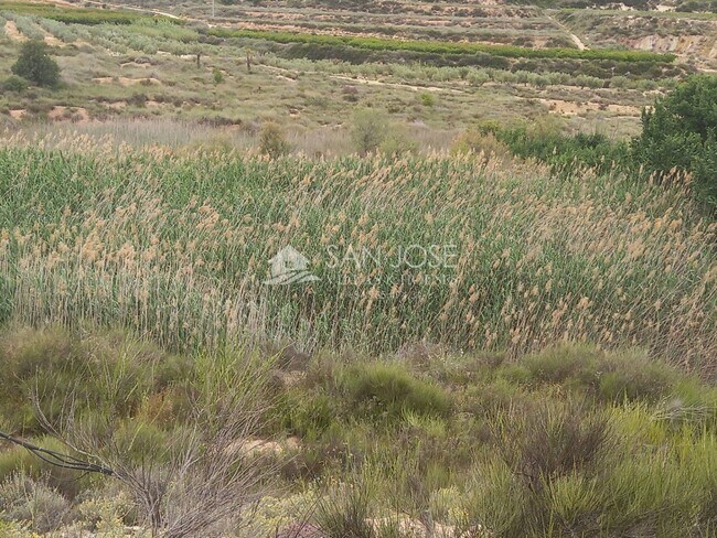 Más detalles de Poligono, 44, Novelda - Terreno en venta