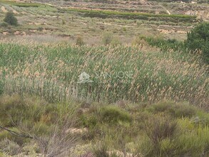 Poligono, 44, Novelda, ALI - AÉREA  vista de mapa - Image1