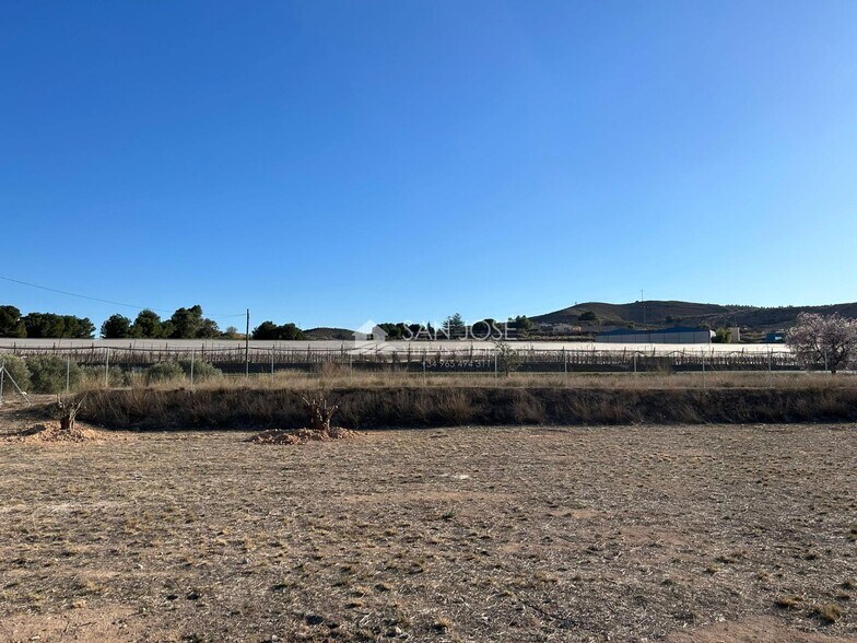 Terreno en Aspe, Alicante en venta - Plano del sitio - Imagen 2 de 10