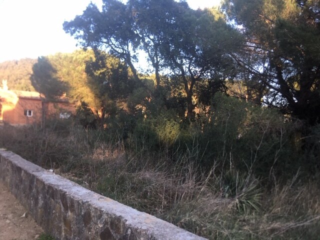 Terreno en Santa Cristina d'Aro, Gerona en venta - Foto principal - Imagen 1 de 3