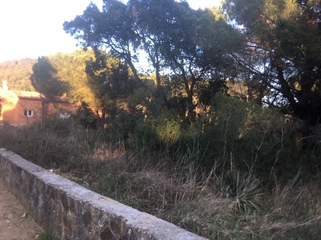 Terreno en Santa Cristina d'Aro, Gerona en venta Foto principal- Imagen 1 de 4