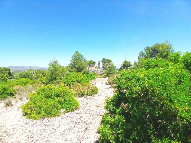 Terreno en Alberic, Valencia en venta - Foto del edificio - Imagen 2 de 7