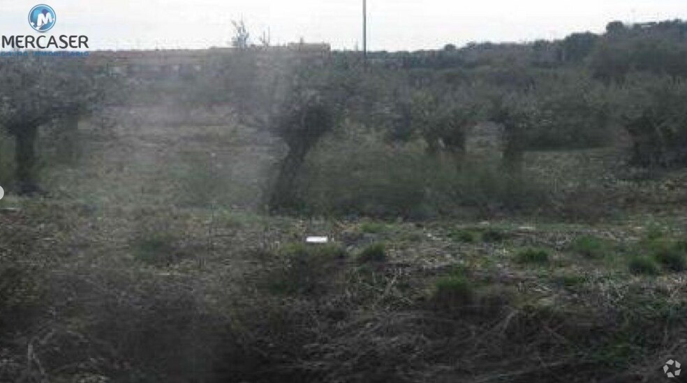 Senda Zalagarda, Cabanillas del Campo, Guadalajara en venta - Foto del edificio - Imagen 2 de 3