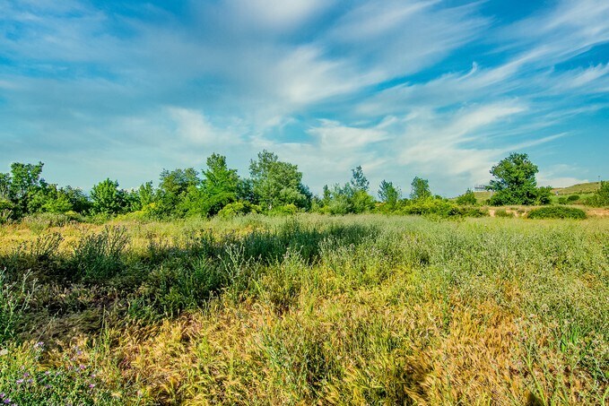 Terreno en Lleida, Lérida en venta - Plano de la planta - Imagen 1 de 8