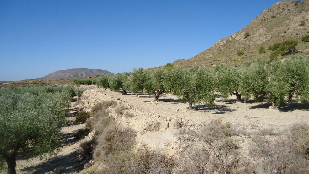 Terreno en Abanilla en venta - Foto del edificio - Imagen 2 de 18