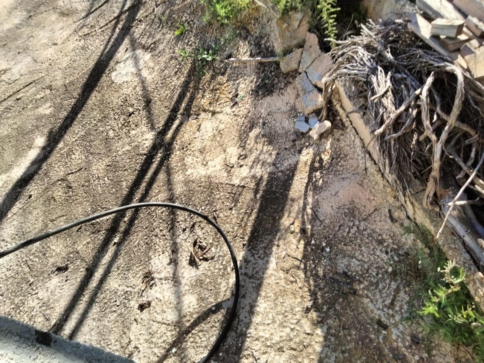 Terreno en Cehegín, Murcia en venta Foto del edificio- Imagen 1 de 10