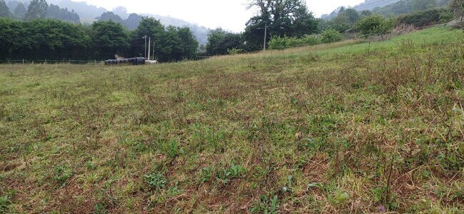 Más detalles de Pomarada Barrero. Illas, S/N, Illas - Terreno en venta