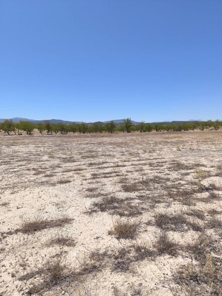 Terreno en PINOSO, Alicante en venta - Plano del sitio - Imagen 3 de 5
