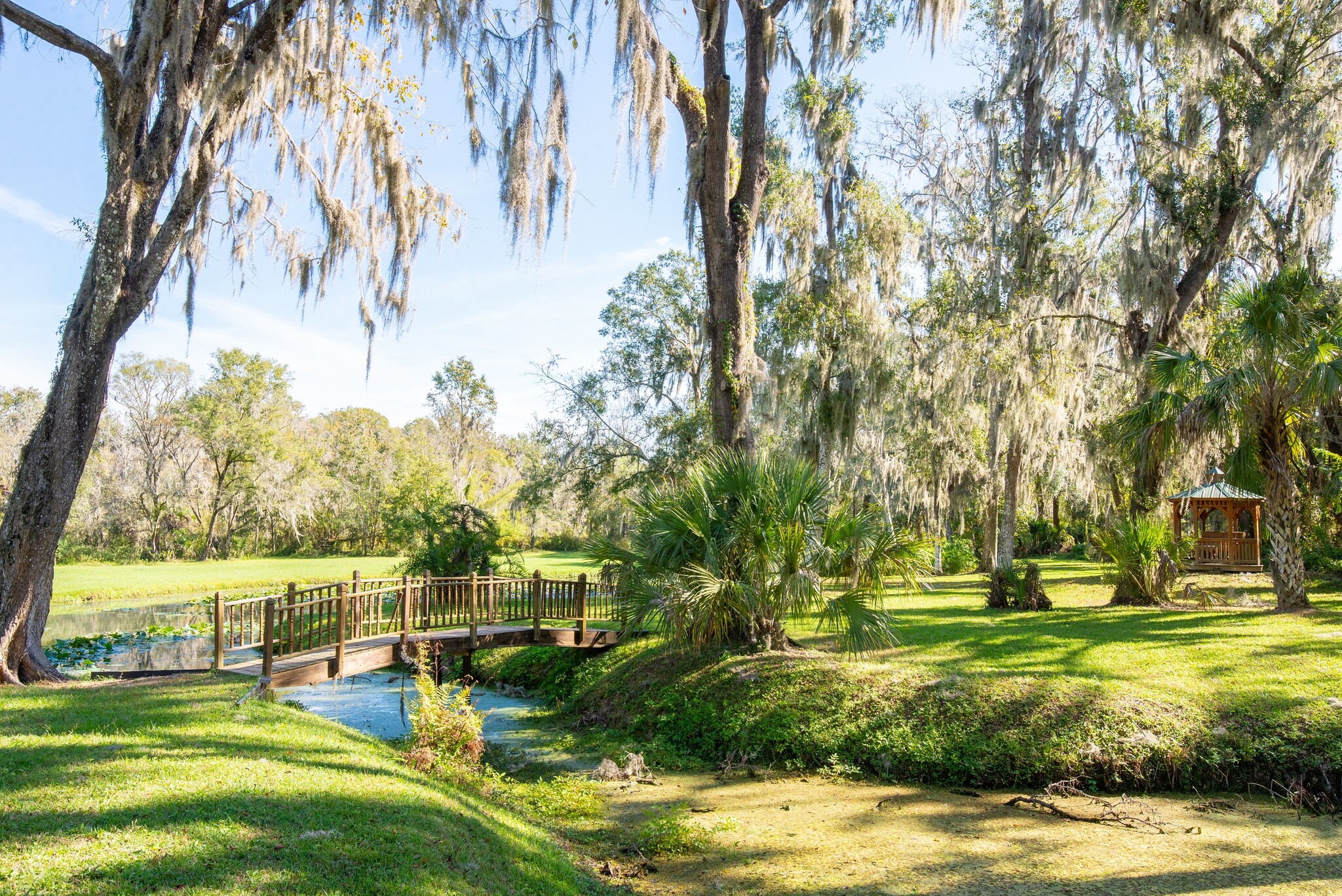 8418 Lupton Place pl, Plant City, FL en venta Foto del edificio- Imagen 1 de 15