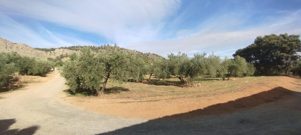 Camino Albarrate, Albolote, Granada en venta - Vista aérea - Imagen 2 de 5