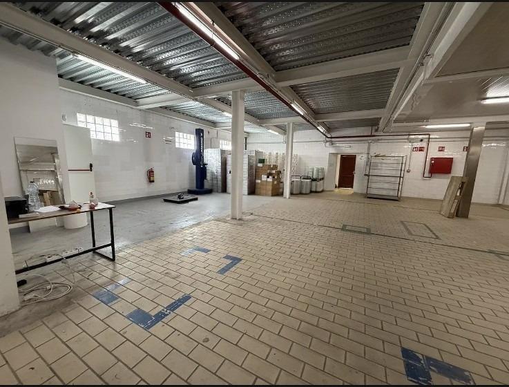 Nave en Palma, Islas Baleares en alquiler - Foto del interior - Imagen 1 de 30