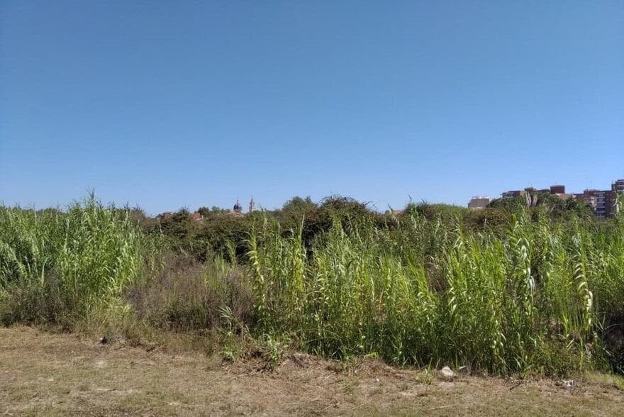 Finc, de, Sueca, Valencia en venta - Foto del edificio - Imagen 1 de 4