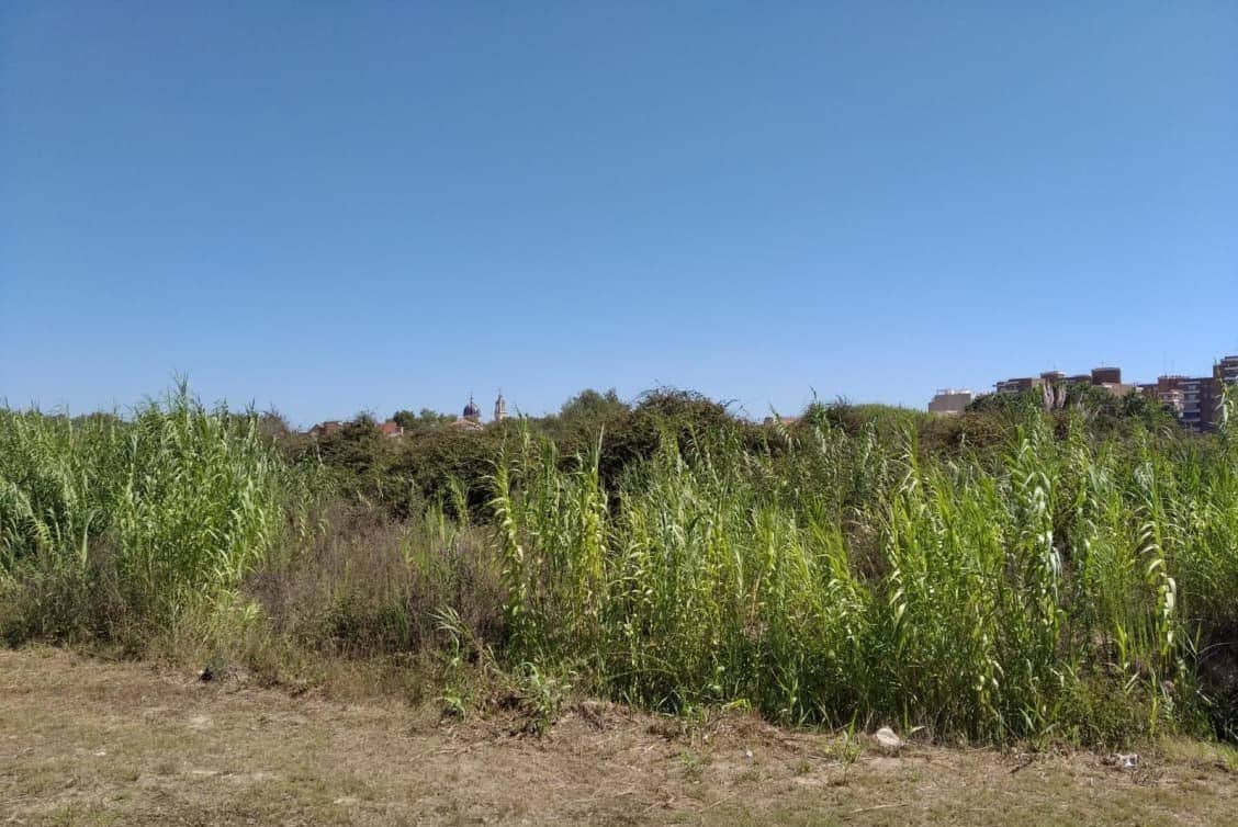 Finc, de, Sueca, Valencia en venta Foto del edificio- Imagen 1 de 5